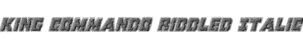 King Commando Riddled Italic 