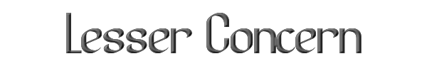Lesser Concern 
