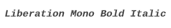 Liberation Mono Bold Italic 