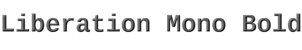 Liberation Mono Bold 
