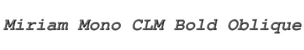 Miriam Mono CLM Bold Oblique 