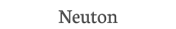 Neuton 