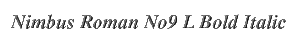Nimbus Roman No9 L Bold Italic 