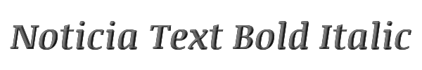 Noticia Text Bold Italic 