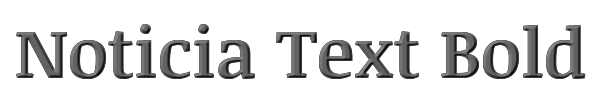 Noticia Text Bold 