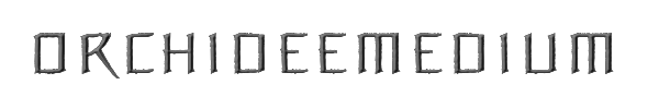 OrchideeMedium 