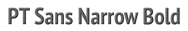 PT Sans Narrow Bold 