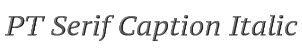 PT Serif Caption Italic 