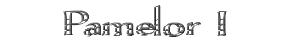 Pamelor I 