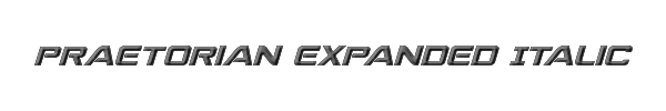 Praetorian Expanded Italic 