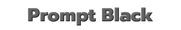 Prompt Black 