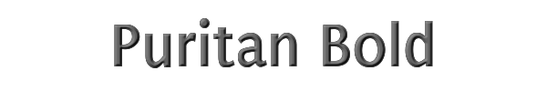 Puritan Bold 