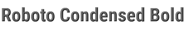 Roboto Condensed Bold 