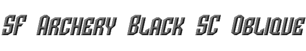 SF Archery Black SC Oblique 