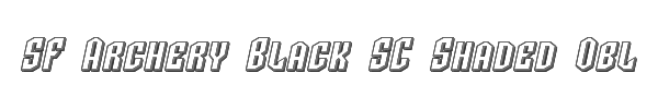 SF Archery Black SC Shaded Oblique 