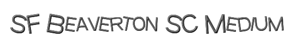 SF Beaverton SC Medium 