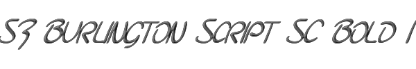 SF Burlington Script SC Bold Italic 