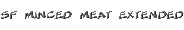 SF Minced Meat Extended 