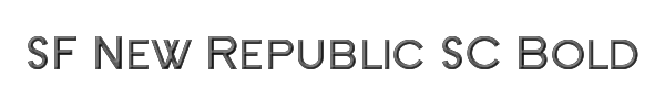 SF New Republic SC Bold 
