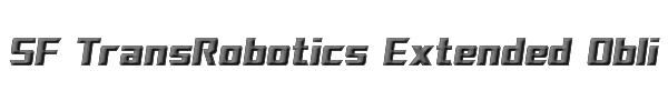 SF TransRobotics Extended Oblique 