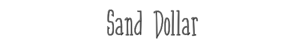 Sand Dollar 