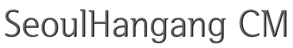 SeoulHangang CM 