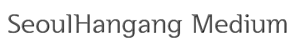 SeoulHangang Medium 