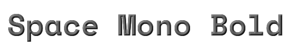 Space Mono Bold 