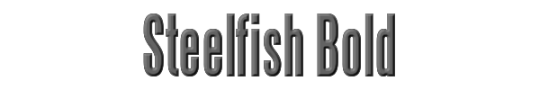 Steelfish Bold 