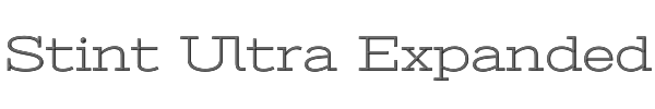 Stint Ultra Expanded 