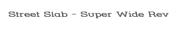 Street Slab - Super Wide Rev 