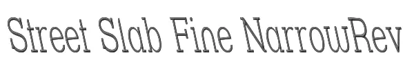 Street Slab Fine NarrowRev 
