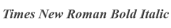 Times New Roman Bold Italic 