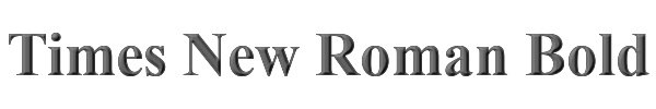 Times New Roman Bold 
