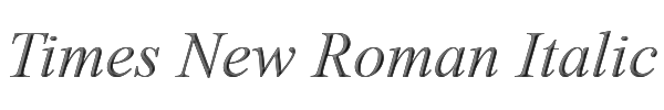 Times New Roman Italic 