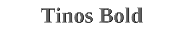 Tinos Bold 