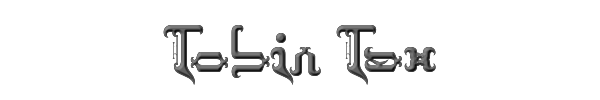 Tobin Tax 