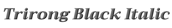 Trirong Black Italic 