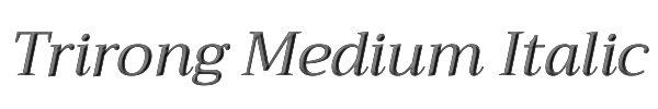 Trirong Medium Italic 