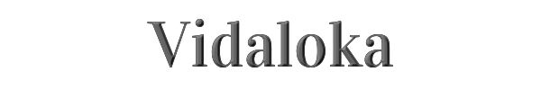 Vidaloka 