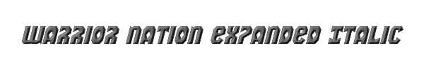 Warrior Nation Expanded Italic 