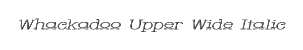 Whackadoo Upper Wide Italic 
