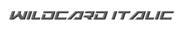 Wildcard Italic 