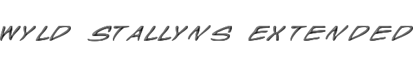 Wyld Stallyns Extended 