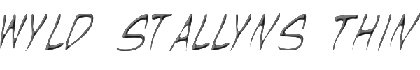 Wyld Stallyns Thin 