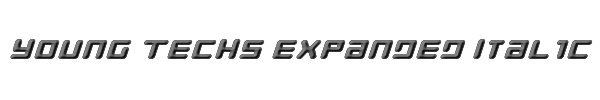 Young Techs Expanded Italic 