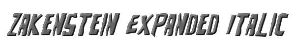 Zakenstein Expanded Italic 