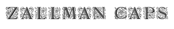Zallman Caps 