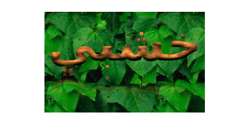 خطابات خشبية