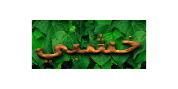 خطابات خشبية